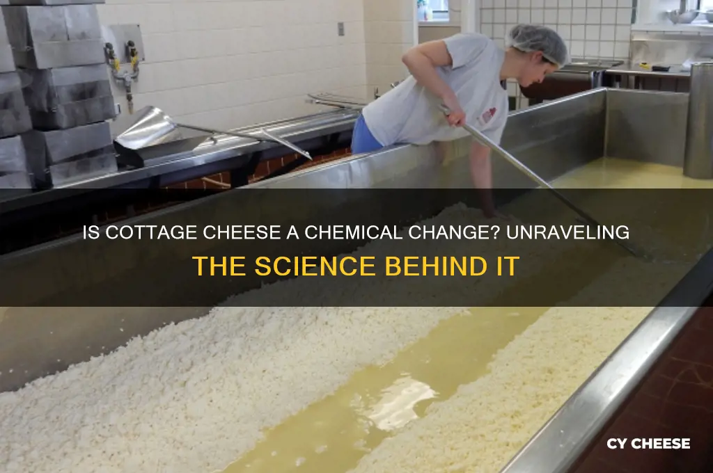 is cottage cheese a chemical change