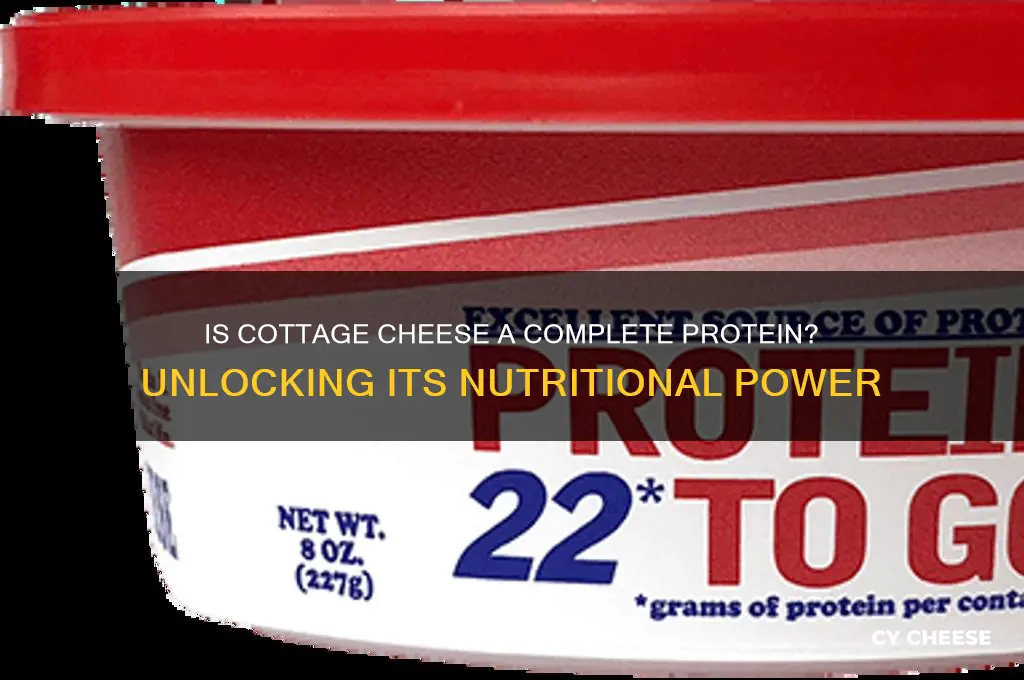 is cottage cheese a complete protein