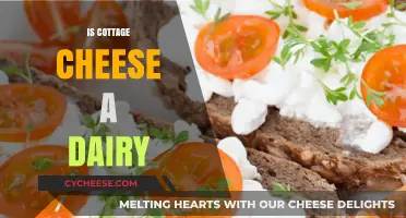 Is Cottage Cheese Dairy? Unraveling the Truth About This Cheesy Delight