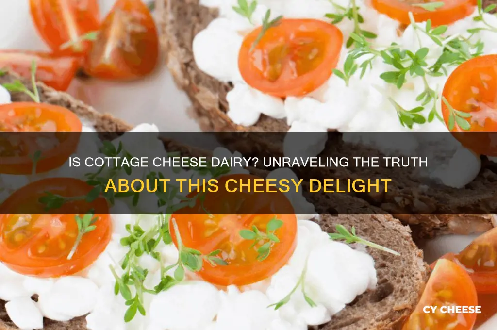 is cottage cheese a dairy