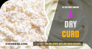 Is Cottage Cheese a Dry Curd? Unraveling the Dairy Mystery