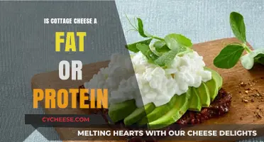 Cottage Cheese: A Protein Powerhouse or Hidden Fat Source?