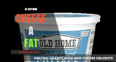 Is Cottage Cheese Fattening? Unraveling the Truth About Its Fat Content