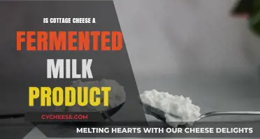 Is Cottage Cheese Fermented? Unraveling Its Milk Product Origins