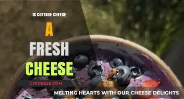 Is Cottage Cheese Fresh? Unraveling the Dairy Aisle Mystery