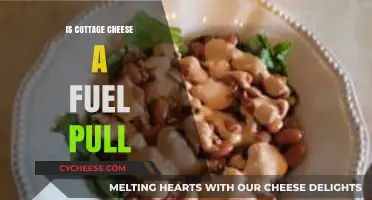 Is Cottage Cheese a Fuel Pull? Unraveling the THM Diet Myth