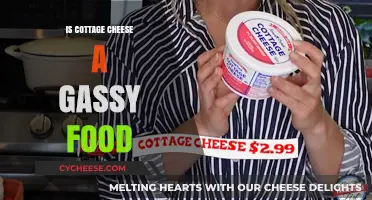 Is Cottage Cheese Gassy? Uncovering the Truth About Digestive Comfort