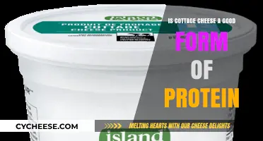 Is Cottage Cheese a Good Protein Source? Nutrition Facts Revealed