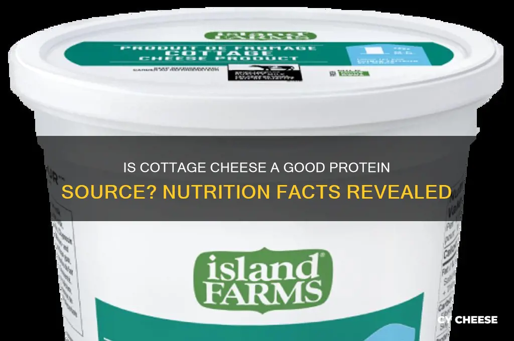 is cottage cheese a good form of protein