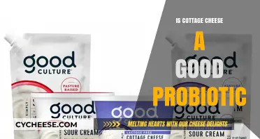 Cottage Cheese and Gut Health: A Probiotic Powerhouse or Myth?