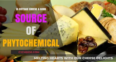 Cottage Cheese and Phytochemicals: Unlocking Nutritional Benefits