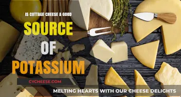 Cottage Cheese and Potassium: A Nutrient-Rich Dairy Choice?