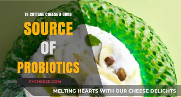 Cottage Cheese and Probiotics: Unlocking Gut Health Benefits