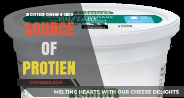 Cottage Cheese Protein Power: A Nutritious and Versatile Diet Staple