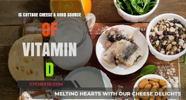 Cottage Cheese and Vitamin D: Unlocking Nutritional Benefits