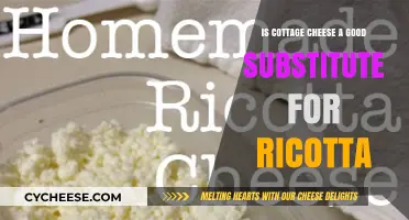 Cottage Cheese vs. Ricotta: A Tasty Substitute or Not?
