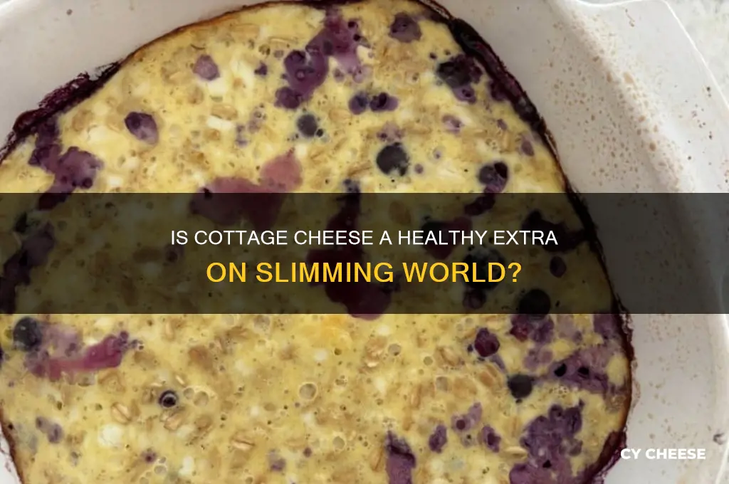 is cottage cheese a healthy extra on slimming world