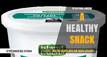 Is Cottage Cheese a Healthy Snack? Nutrition Facts and Benefits