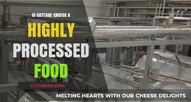 Is Cottage Cheese Processed? Uncovering the Truth About This Dairy Staple