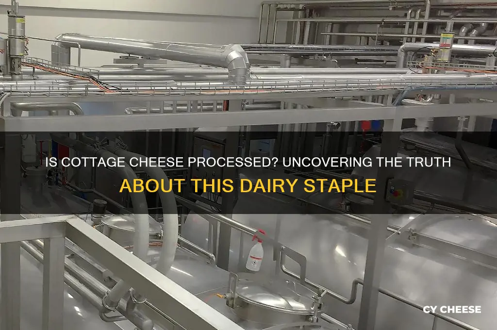 is cottage cheese a highly processed food