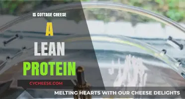 Is Cottage Cheese a Lean Protein? Unlocking Nutritional Benefits
