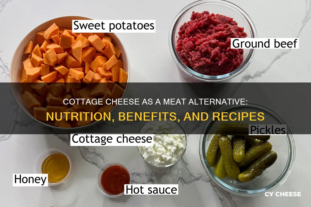is cottage cheese a meat alternative