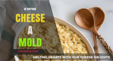 Is Cottage Cheese Moldy? Unraveling the Truth Behind Its Texture