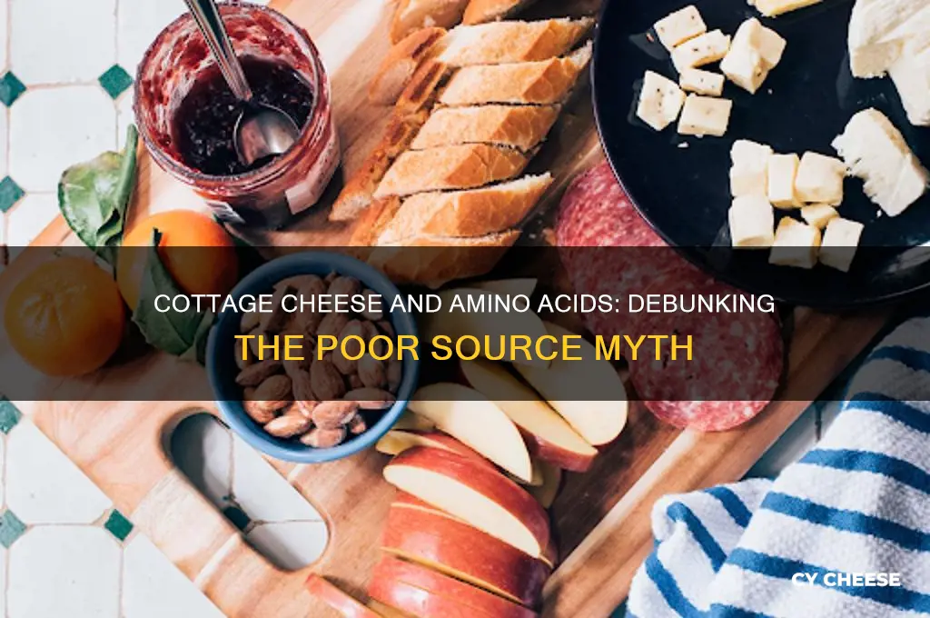 is cottage cheese a poor source of amino acid