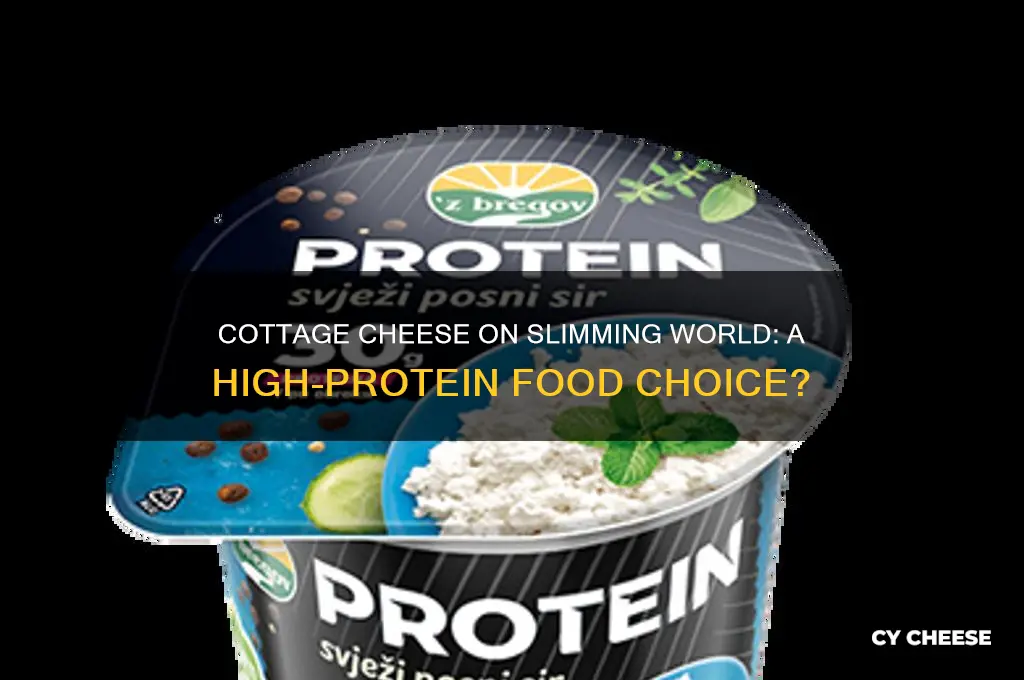 is cottage cheese a protein food on slimming world