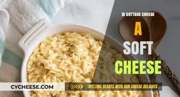 Is Cottage Cheese Soft? Exploring Its Texture and Classification