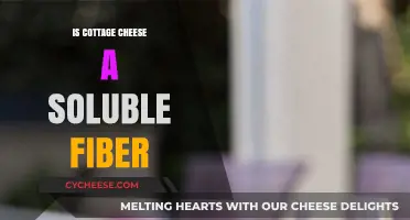 Is Cottage Cheese a Soluble Fiber Source? Unraveling the Truth