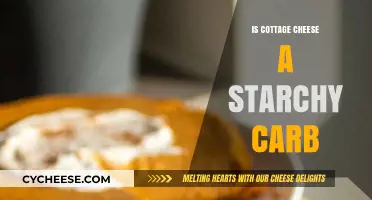 Is Cottage Cheese a Starchy Carb? Unraveling the Nutritional Truth