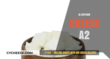 Is Cottage Cheese A2? Uncovering the Truth About Its Milk Source