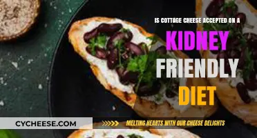 Cottage Cheese and Kidney Health: A Renal-Friendly Diet Option?
