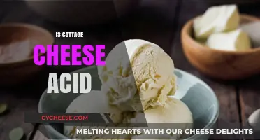 Is Cottage Cheese Acidic? Unraveling Its pH and Health Impact
