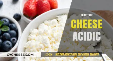 Is Cottage Cheese Acidic? Uncovering Its pH Level and Health Impact