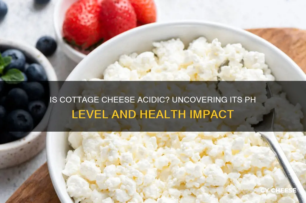 is cottage cheese acidic
