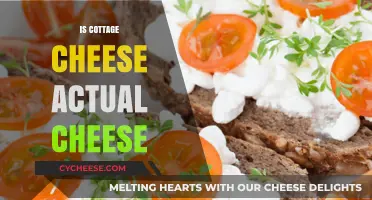Is Cottage Cheese Real Cheese? Unraveling the Dairy Mystery