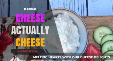 Is Cottage Cheese Real Cheese? Unraveling the Dairy Mystery