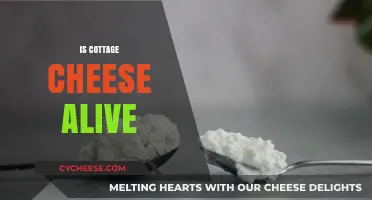 Is Cottage Cheese Alive? Unraveling the Mystery of Fermented Dairy