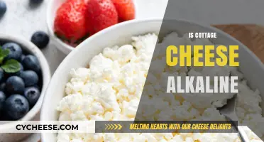 Is Cottage Cheese Alkaline? Unveiling Its pH Impact on Your Diet