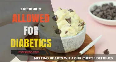 Can Diabetics Eat Cottage Cheese? Nutrition Facts and Benefits