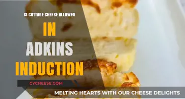 Can You Eat Cottage Cheese During Atkins Induction Phase?