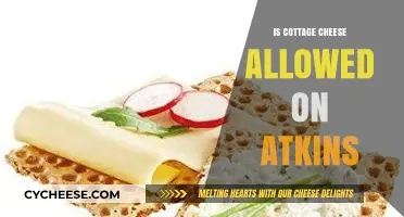Can You Eat Cottage Cheese on the Atkins Diet?