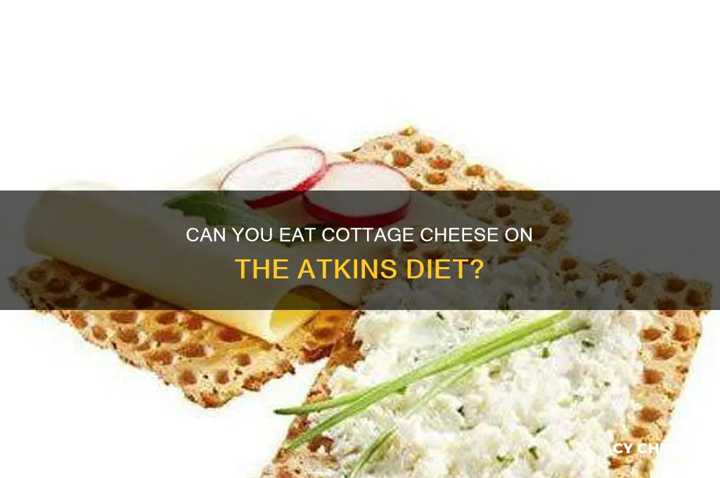 is cottage cheese allowed on atkins