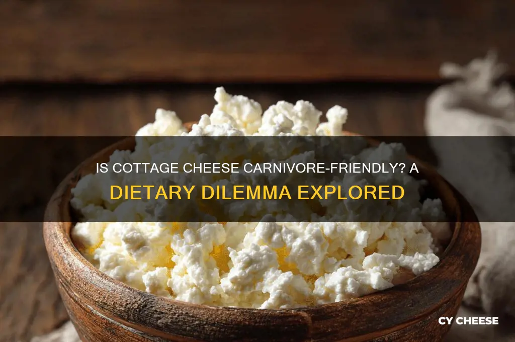 is cottage cheese allowed on carnivore