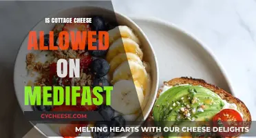 Can You Eat Cottage Cheese on Medifast? A Diet Guide