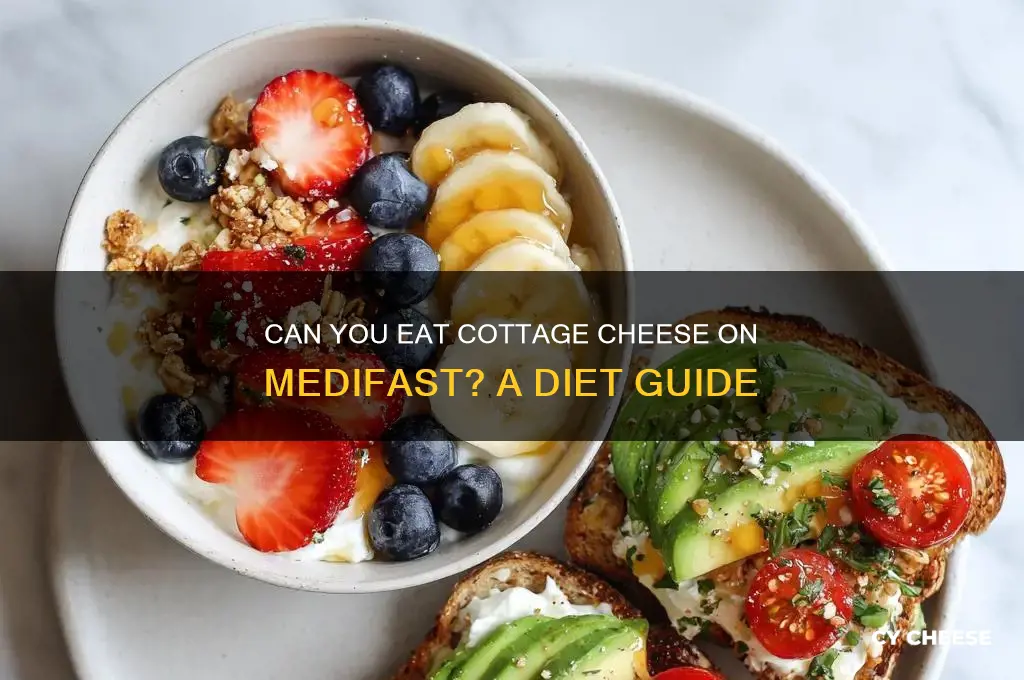 is cottage cheese allowed on medifast