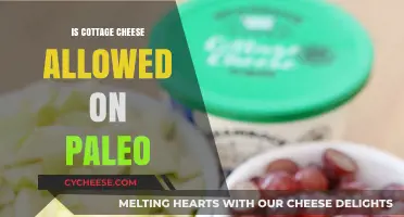 Is Cottage Cheese Paleo-Friendly? Uncovering the Dietary Debate