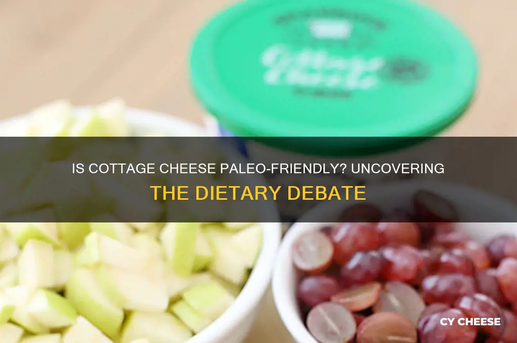 is cottage cheese allowed on paleo